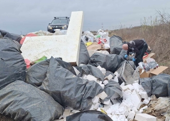 Au venit din Giroc să arunce gunoaiele din construcții pe centura Timișoarei! Poliția Locală i-a găsit și amendat