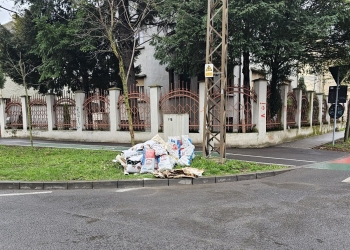 Un morman de gunoaie aruncat în centrul Timișoarei a costat o femeie 3.000 de euro