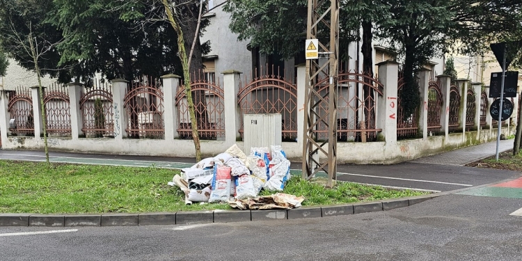 Un morman de gunoaie aruncat în centrul Timișoarei a costat o femeie 3.000 de euro