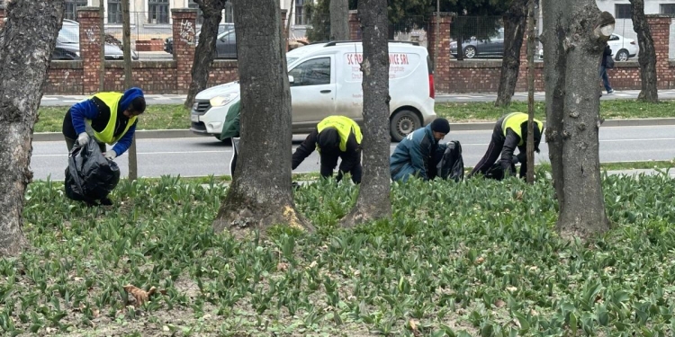 Se schimbă conducerea Horticultura S.A., Dan Rusu a fost demis