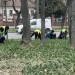 Se schimbă conducerea Horticultura S.A., Dan Rusu a fost demis