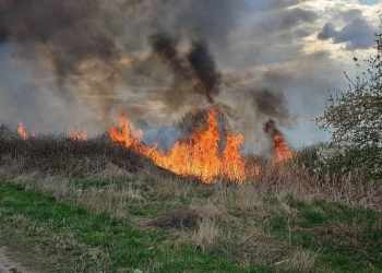 Incendii de vegetație uscată cu degajări mari de fum, în zona Lugojului! Populația a primit mesaje Ro-Alert