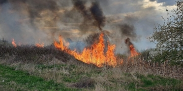 Incendii de vegetație uscată cu degajări mari de fum, în zona Lugojului! Populația a primit mesaje Ro-Alert