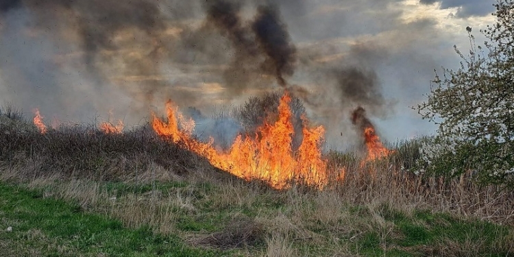 Incendii de vegetație uscată cu degajări mari de fum, în zona Lugojului! Populația a primit mesaje Ro-Alert