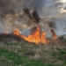 Incendii de vegetație uscată cu degajări mari de fum, în zona Lugojului! Populația a primit mesaje Ro-Alert