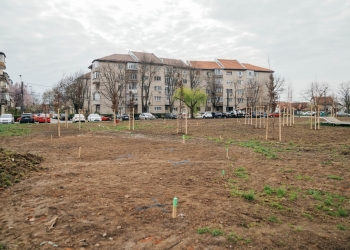 Timișoara are un parc nou, în zona Lunei, primul după 15 ani