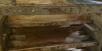 Patiserie din Timișoara, închisă de OPC din cauza mizeriei