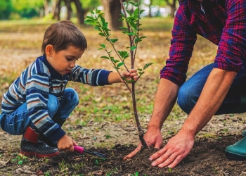 Se plantează perdea forestieră la Giarmata. Sunt invitați să participe cât mai mulți voluntari