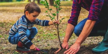 Se plantează perdea forestieră la Giarmata. Sunt invitați să participe cât mai mulți voluntari