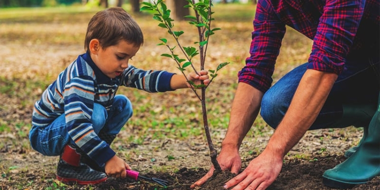 Se plantează perdea forestieră la Giarmata. Sunt invitați să participe cât mai mulți voluntari