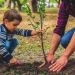 Se plantează perdea forestieră la Giarmata. Sunt invitați să participe cât mai mulți voluntari