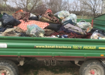 O remorcă de gunoaie adunate de pe malul Begăi, de la Timișoara la Utvin