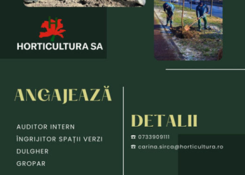 Horticultura face angajări! Este nevoie de auditor intern, îngrijitor spații verzi, dulgher, gropar și casier