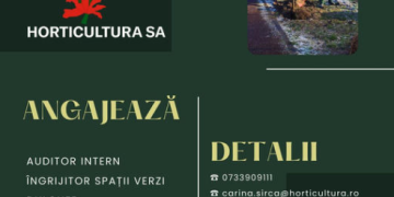 Horticultura face angajări! Este nevoie de auditor intern, îngrijitor spații verzi, dulgher, gropar și casier