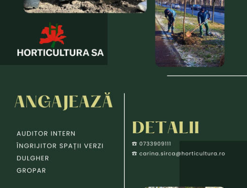 Horticultura face angajări! Este nevoie de auditor intern, îngrijitor spații verzi, dulgher, gropar și casier