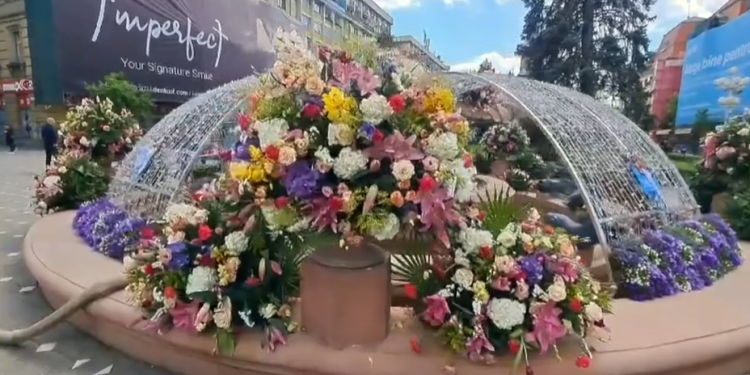 Fântâna cu Pești și Piața Unirii din Timișoara, împodobite cu flori