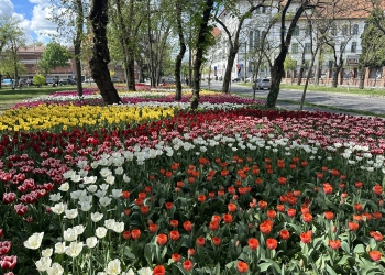 Vreme călduroasă și în această săptămână, în Banat