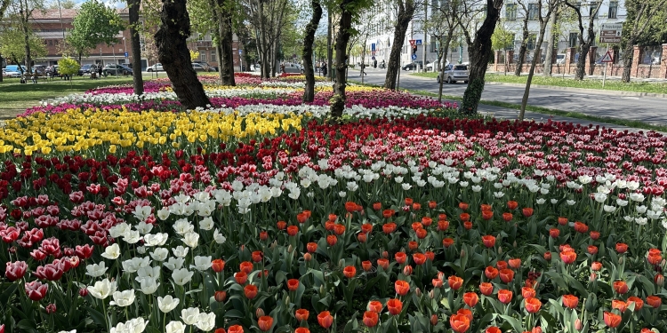 Vreme călduroasă și în această săptămână, în Banat