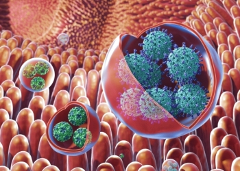 DSP Timiș: focar de infecție cu norovirus la Colegiul Loga din Timișoara