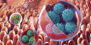 DSP Timiș: focar de infecție cu norovirus la Colegiul Loga din Timișoara