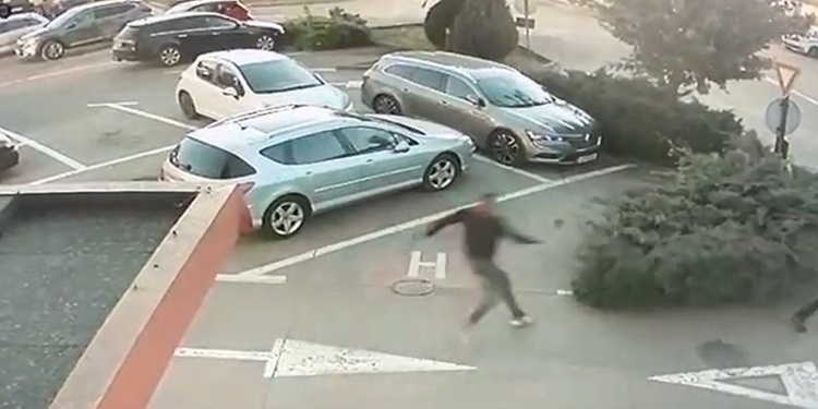 Tâlhărie surprinsă pe camerele de supraveghere, la Timișoara