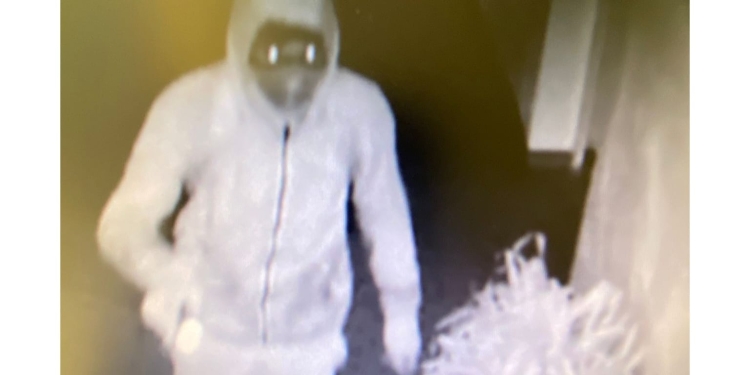 Banii de burse a unor liceeni din vestul țării, furați de doi bărbați