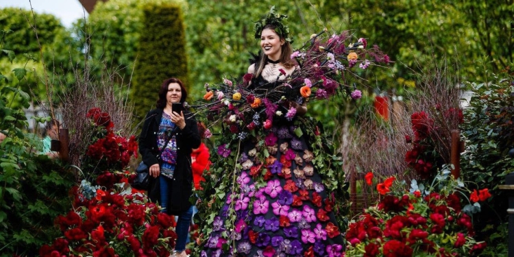 Se pregătește o nouă ediție a Festivalului Artei Florale, la Iulius Town Timișoara