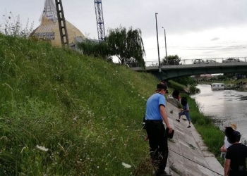 Au tras la măsea prin parcuri și pe alei și au fost amendați de polițiștii locali din Timișoara