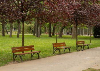 Parcul Copiilor din Timișoara, pregătit pentru 1 Iunie