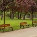 Parcul Copiilor din Timișoara, pregătit pentru 1 Iunie
