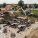 Se realizează fundația la noul stadion construit de Primăria Timișoara în Calea Buziașului
