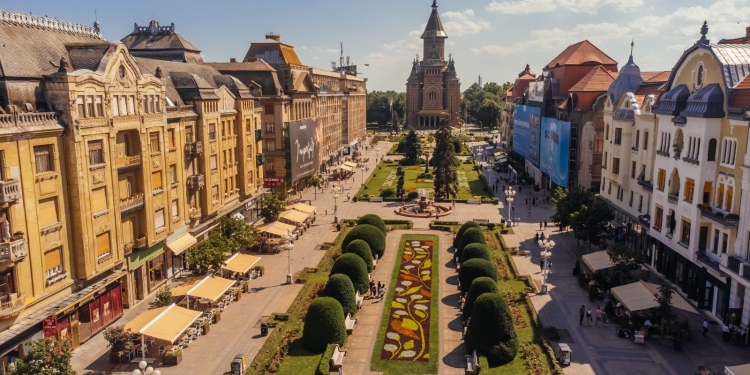 Sute de mii de plante împodobesc Timișoara în această vară