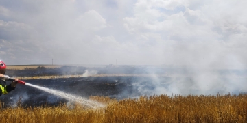 Lan cu orz din Timiș, mistuit de flăcări pe o suprafață de 25 de hectare