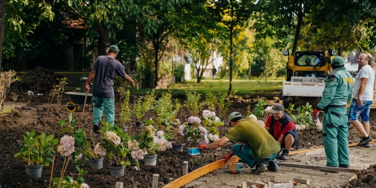 Curtea „prințului” din Calea Aradului din Timișoara, transformată în grădină publică