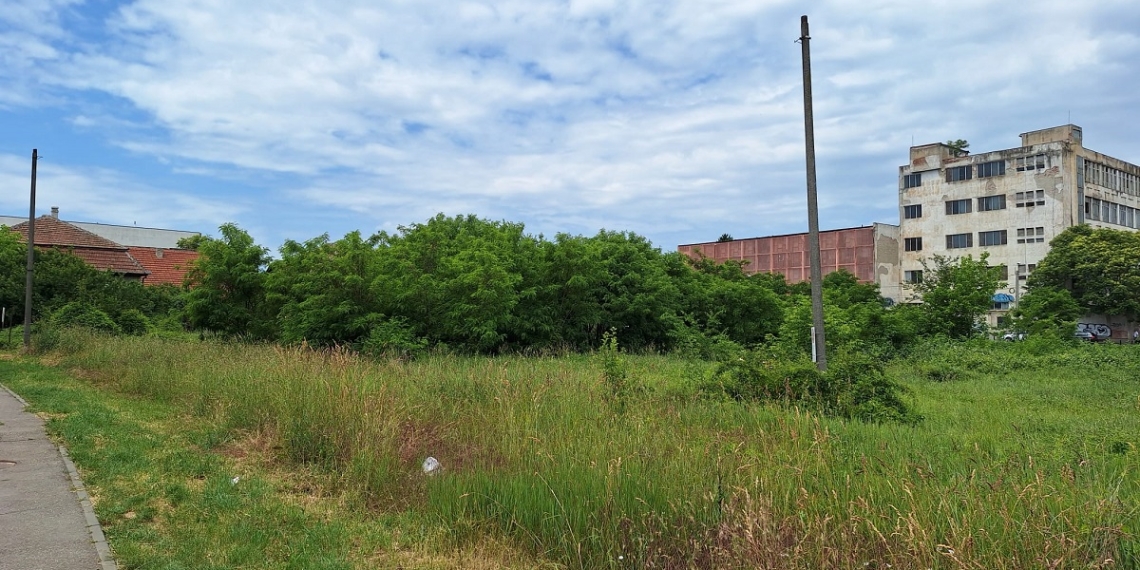 Primele amenzi pentru terenuri neîngrijite, la Timișoara