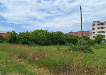 Primele amenzi pentru terenuri neîngrijite, la Timișoara