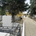 Procesul vizând administrarea a două cimitire, câștigat de Primăria Timișoara