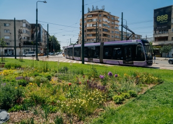 Culoare de Bălcescu, în Timișoara! Cum a prins viață și culoare zona, datorită plantelor