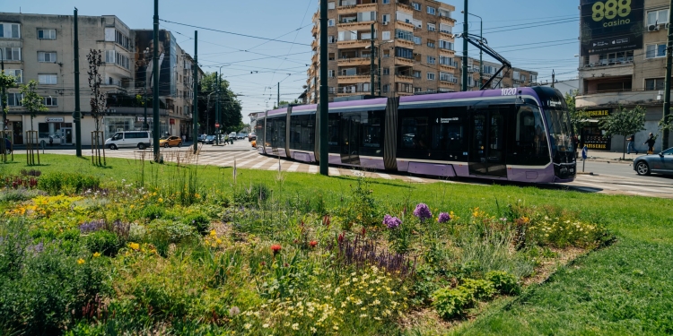 Culoare de Bălcescu, în Timișoara! Cum a prins viață și culoare zona, datorită plantelor