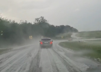 Bilanțul codului roșu de vreme rea și grindină din Timiș! Curți inundate și copaci căzuți