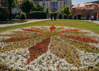 Parcul Botanic din Timișoara arată spectaculos! Pot fi admirate noi modele florale