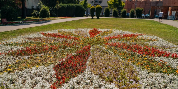 Parcul Botanic din Timișoara arată spectaculos! Pot fi admirate noi modele florale