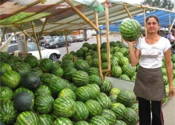 „Festivalul Pepenilor”, la Timișoara