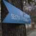 Nouă incidente electorale în județul Timiș