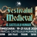 Atmosfera Evului Mediu, reînviată la Timișoara! Se pregătește Festivalul Medieval al Castelului Huniade