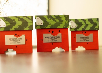 Proiecțiile de filme din cadrul Festivalului „Ceau, Cinema!”, urmărite de 5.000 de spectatori