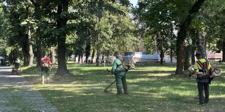 Parcurile din Timișoara, oaze de răcoare în această perioadă caniculară