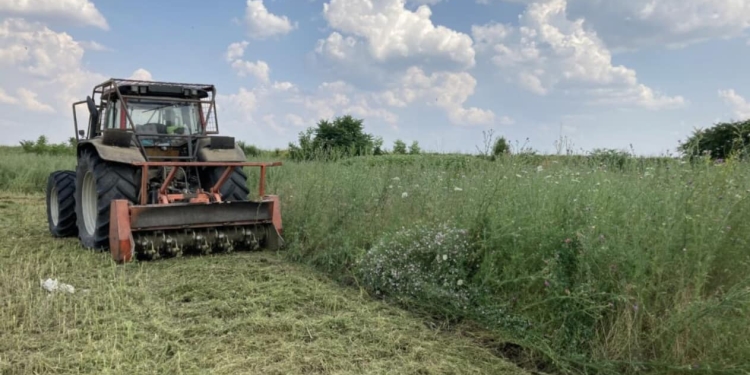 Încep să „curgă” amenzile pentru moșnițenii care nu-și curăță terenurile! Aproape 900 sancționați