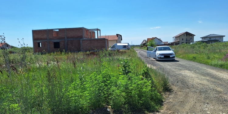 „Plantațiile” de ambrozie și bălării nu aduc profit ci doar amenzi, la Timișoara