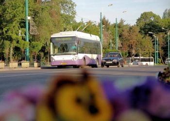 Troleibuze noi pentru Timișoara! Primăria cumpără 33 de vehicule, cu bani europeni